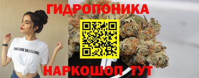 крисы Балашиха