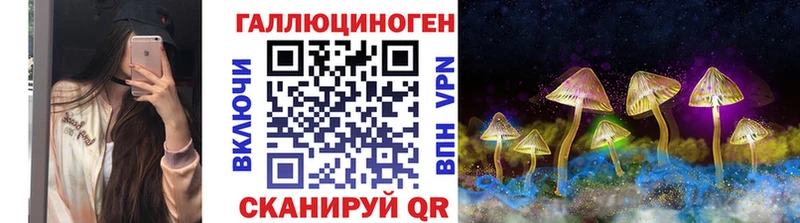 купить   Моршанск  Псилоцибиновые грибы GOLDEN TEACHER 