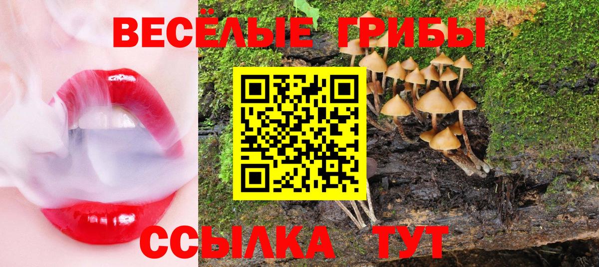 Псилоцибиновые грибы прущие грибы Моршанск