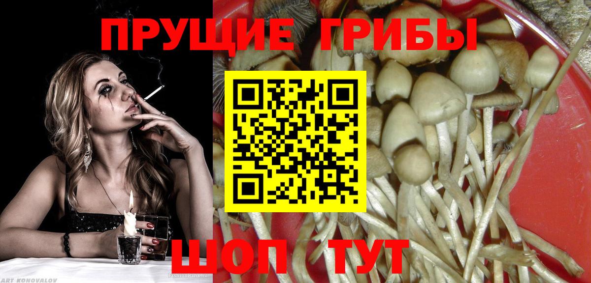 Псилоцибиновые грибы мухоморы  Моршанск 