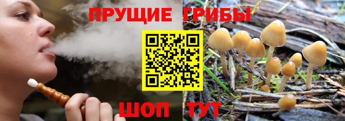 Галлюциногенные грибы Magic Shrooms  Вход с VPN  Моршанск 